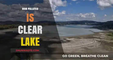 Clear Lake's Pollution Problem: A Comprehensive Overview