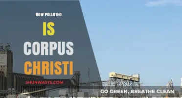Corpus Christi's Pollution: A Troubling Reality