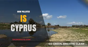 Cyprus' Pollution Crisis: A Comprehensive Overview