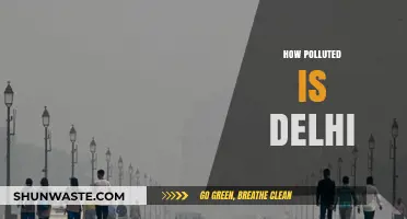 Delhi's Air: A Deadly Pollution Crisis