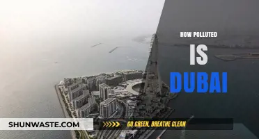 Dubai's Pollution Problem: An In-Depth Analysis