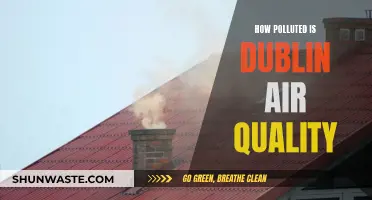 Dublin's Air Quality: A Polluted City's Story