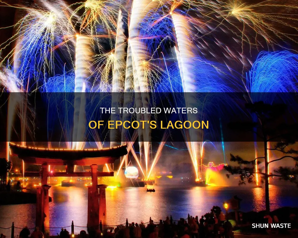 how polluted is epcot lagoon