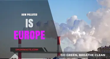 Europe's Pollution Crisis: How Bad Is It?