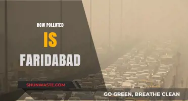 Faridabad's Pollution: A City Choking Under Smog