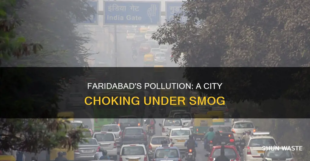 how polluted is faridabad