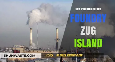 Ford Foundry Zug Island: A Polluted Paradise?