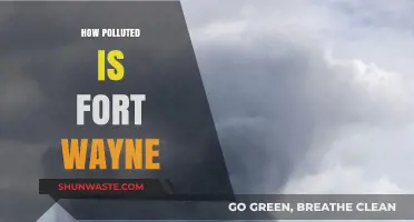 Fort Wayne's Pollution Problem: A Comprehensive Overview