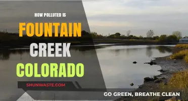 Fountain Creek's Pollution Crisis: A Colorado Waterway's Plight