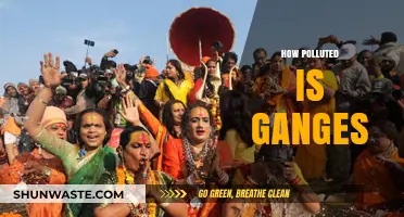 Ganges Pollution: A River's Plight