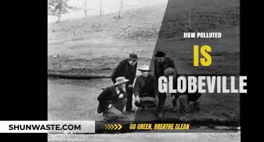 The Toxic Truth: Globeville's Polluted Reality