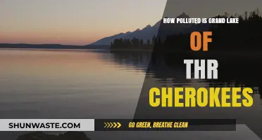Grand Lake's Pollution Problem: A Cherokee Environmental Crisis