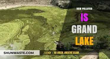 Grand Lake's Pollution Problem: An In-depth Analysis
