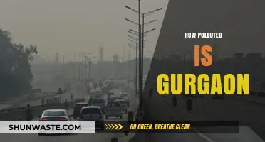 Gurgaon's Air: A Polluted Reality