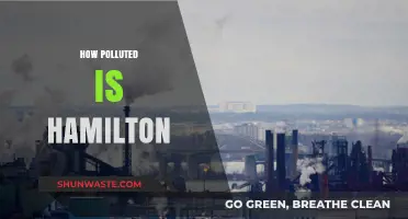 Hamilton's Pollution Problem: A Troubling Reality