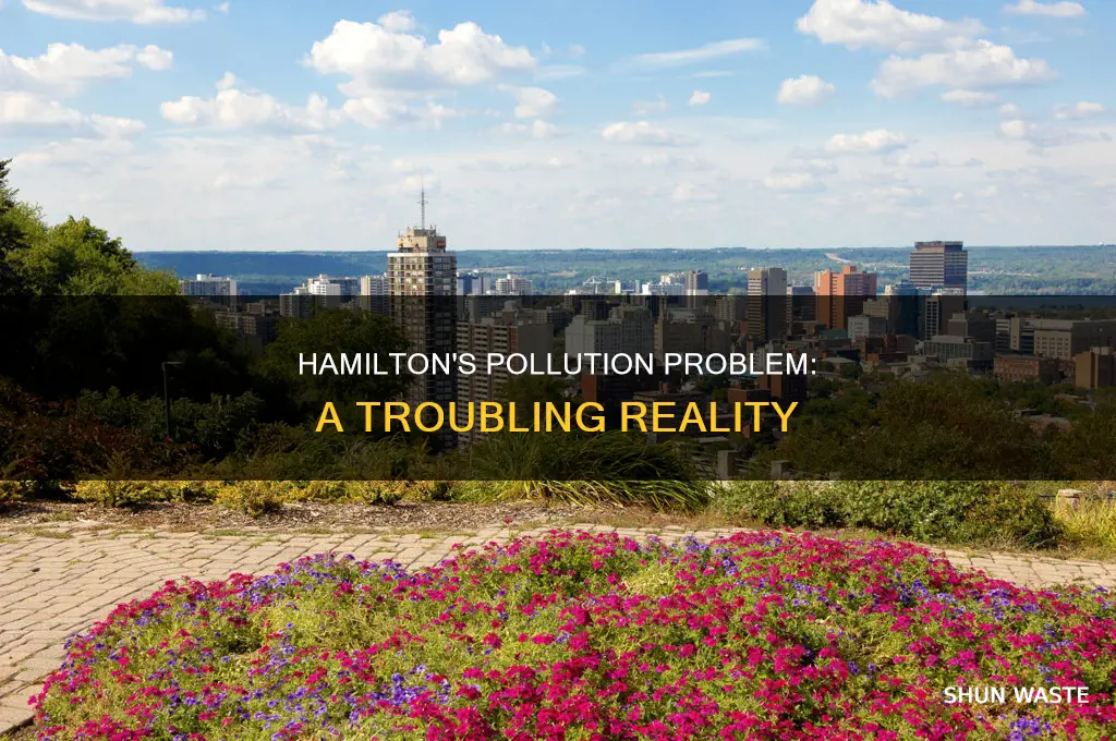 how polluted is hamilton