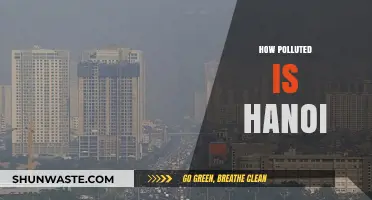 Hanoi's Air Quality: A City Choking on Pollution