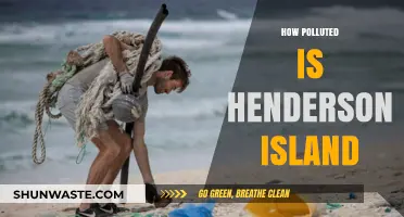 Henderson Island: A Paradise Lost to Pollution