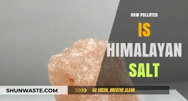 Himalayan Salt: Pure or Polluted?