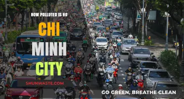 Ho Chi Minh City's Pollution Problem