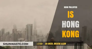 Hong Kong's Pollution Crisis: A City's Battle
