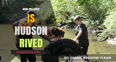 Hudson River Pollution: A Critical Analysis