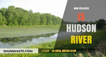 The Hudson River: A Polluted Paradise?