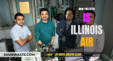Illinois' Air Quality: A Pollution Crisis?