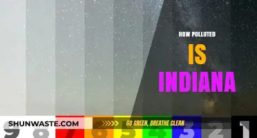 Indiana's Pollution Problem: A Comprehensive Overview