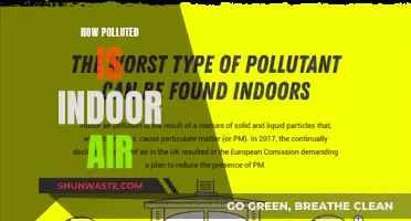 Indoor Air Quality: Is It Worse Than We Think?