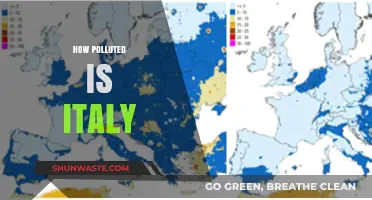 Italy's Pollution Crisis: A Comprehensive Overview
