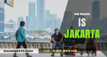 Jakarta's Pollution Crisis: A City Choking on Smog