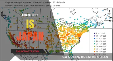 Japan's Pollution Crisis: A Comprehensive Overview
