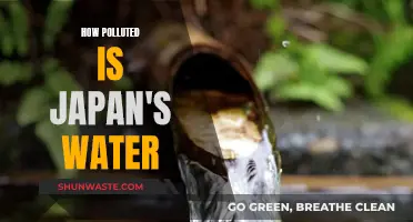 Japan's Water Crisis: Unveiling the Hidden Pollution