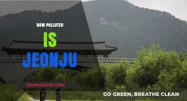 Jeonju's Pollution Problem: A Comprehensive Overview