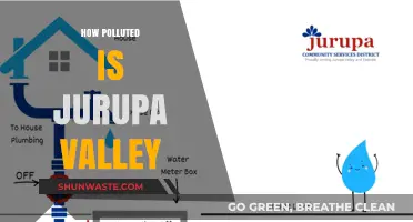 Jurupa Valley's Pollution Problem: A Comprehensive Overview
