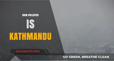 Kathmandu's Pollution: A City Choking on Success