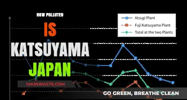 Katsuyama's Pollution: A Japanese Town's Battle