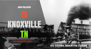 Knoxville, TN: A City Choking on Pollution
