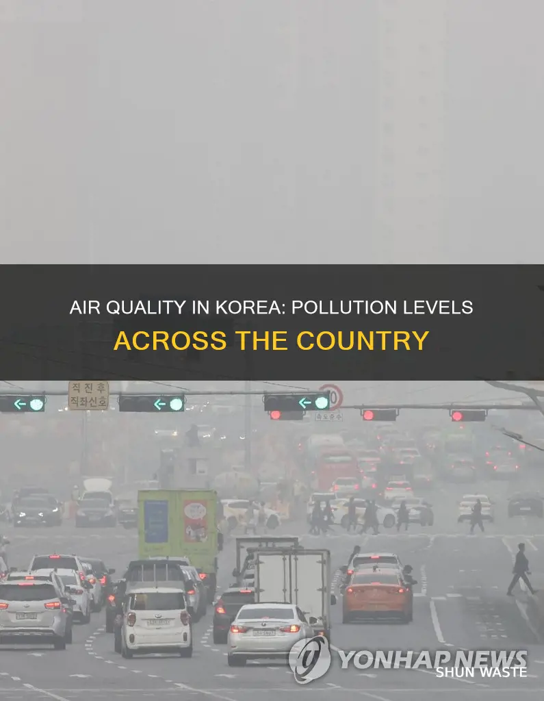 how polluted is korea on average