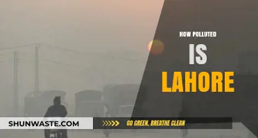 Lahore's Air: A City Choking on Pollution