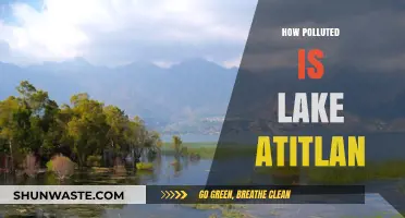 Lake Atitlan's Pollution Crisis: A Deep Dive
