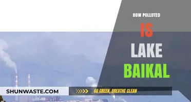 Lake Baikal: Pristine or Polluted Paradise?