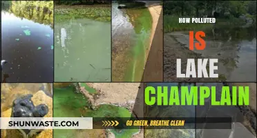 Lake Champlain's Pollution Problem: A Troubling Reality