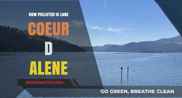 Lake Coeur d'Alene: Pollution Problems and Solutions