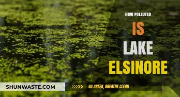Lake Elsinore's Pollution: A Troubling Reality