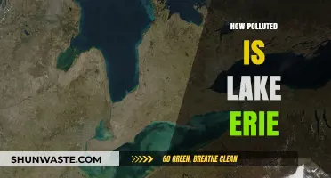 Lake Erie's Pollution Problem: A Troubled Waterway