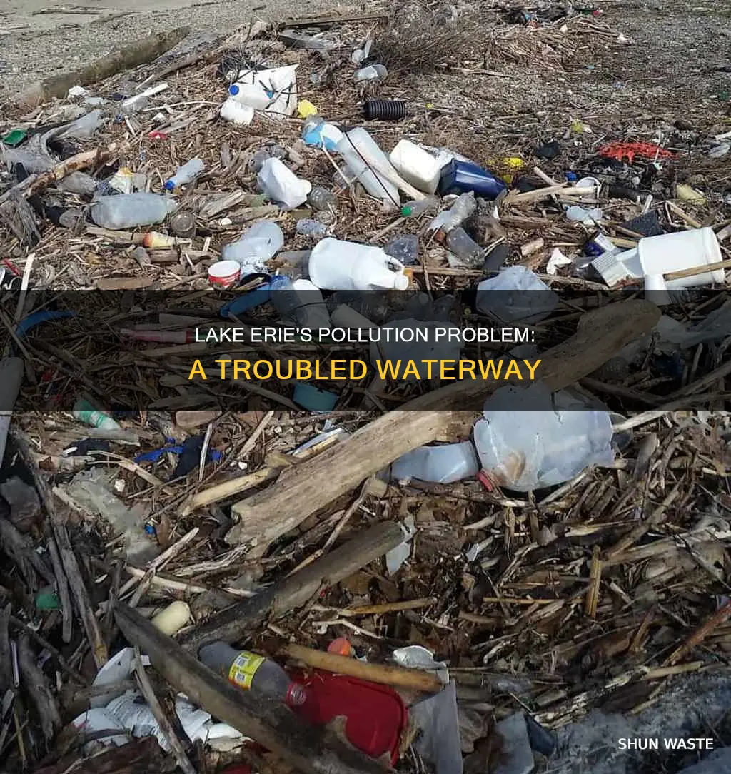 how polluted is lake erie