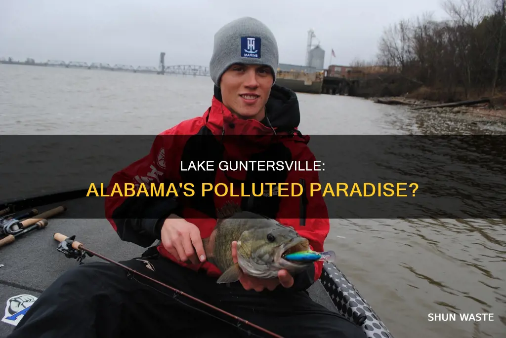 how polluted is lake guntersville in alabama