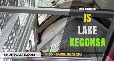 Lake Kegonsa's Pollution Problem: A Comprehensive Overview